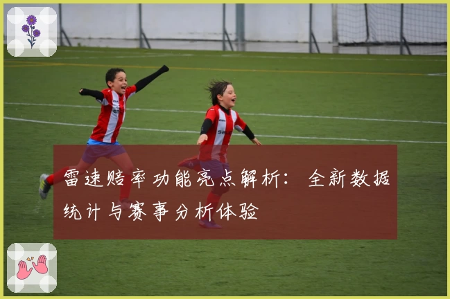 雷速赔率功能亮点解析：全新数据统计与赛事分析体验
