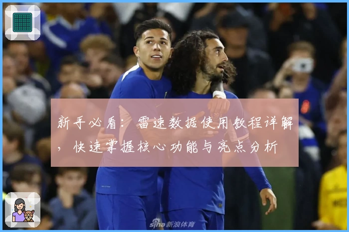 新手必看：雷速数据使用教程详解，快速掌握核心功能与亮点分析